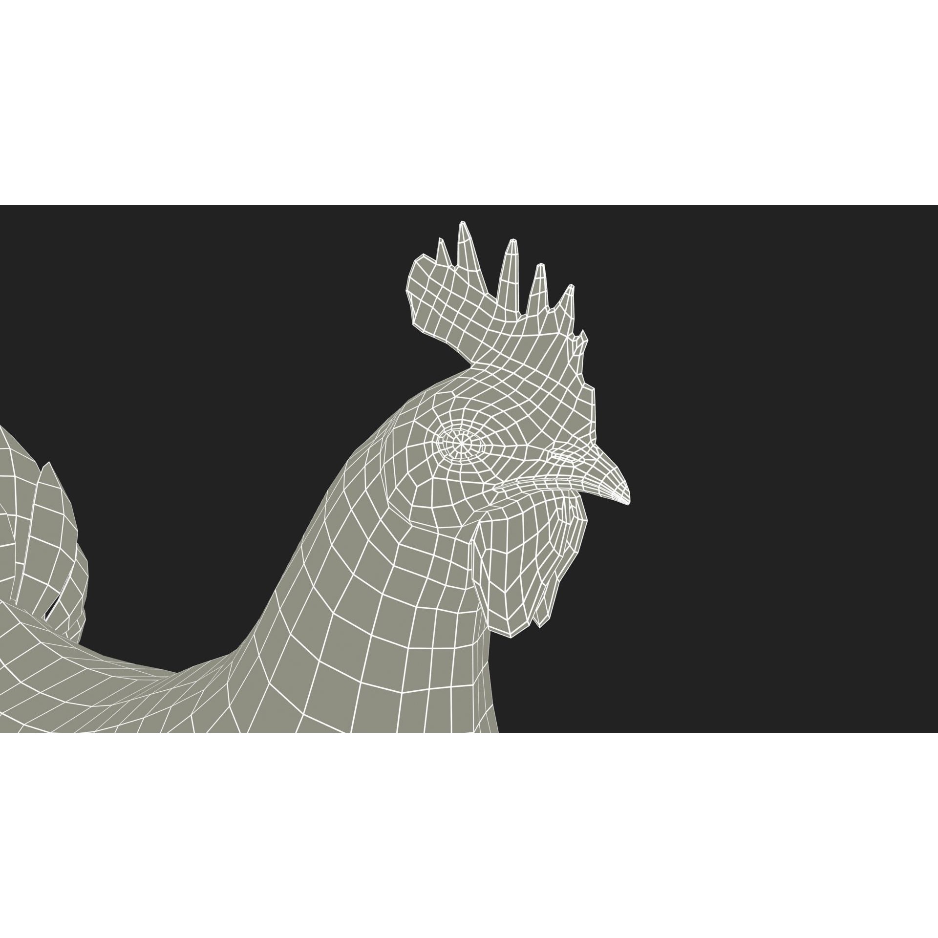 Rooster - Low-Poly Game-Ready 3D Model - View 11