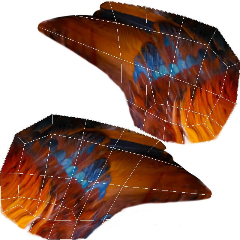 Rooster - Low-Poly Game-Ready 3D Model - View 13