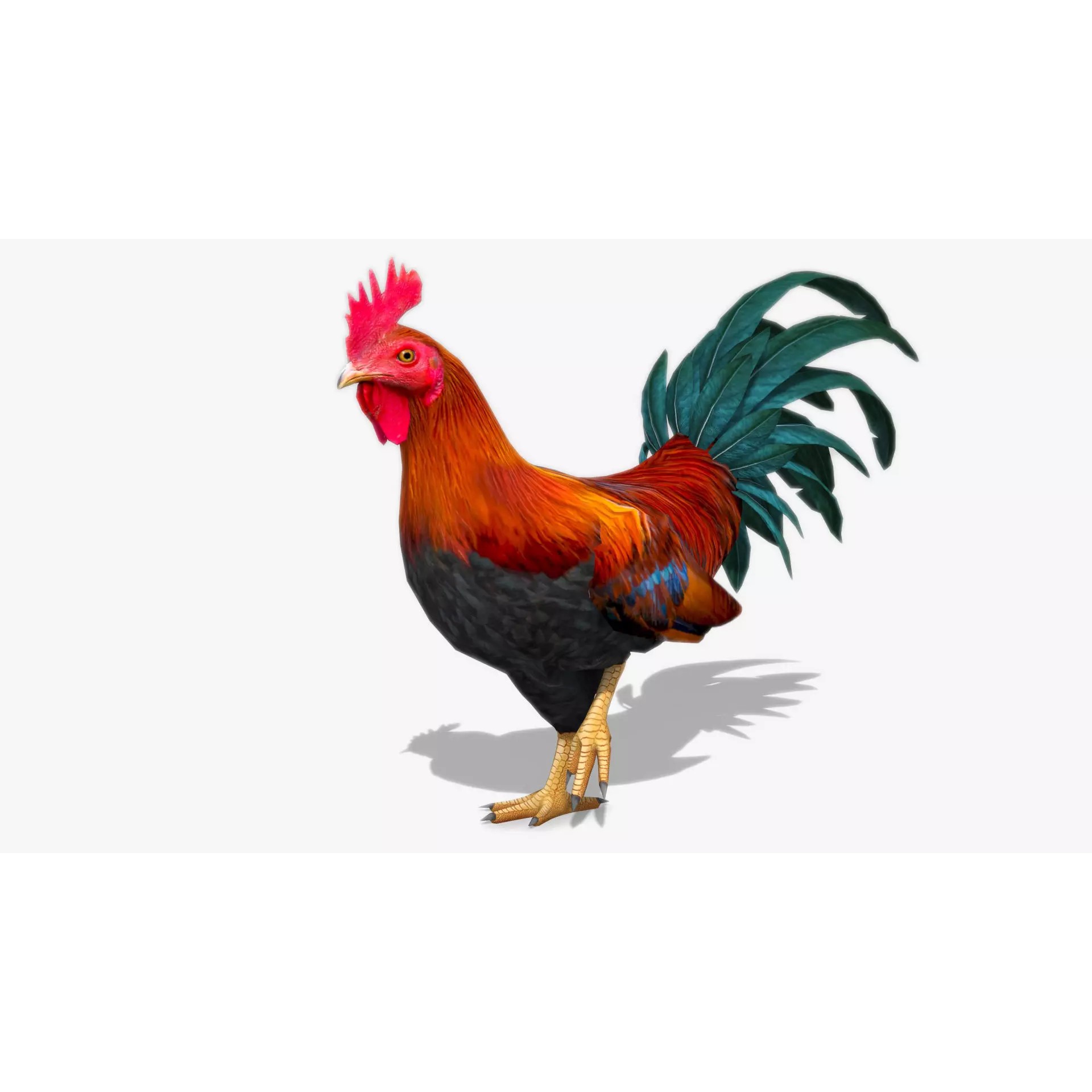 Rooster - Low-Poly Game-Ready 3D Model - View 2