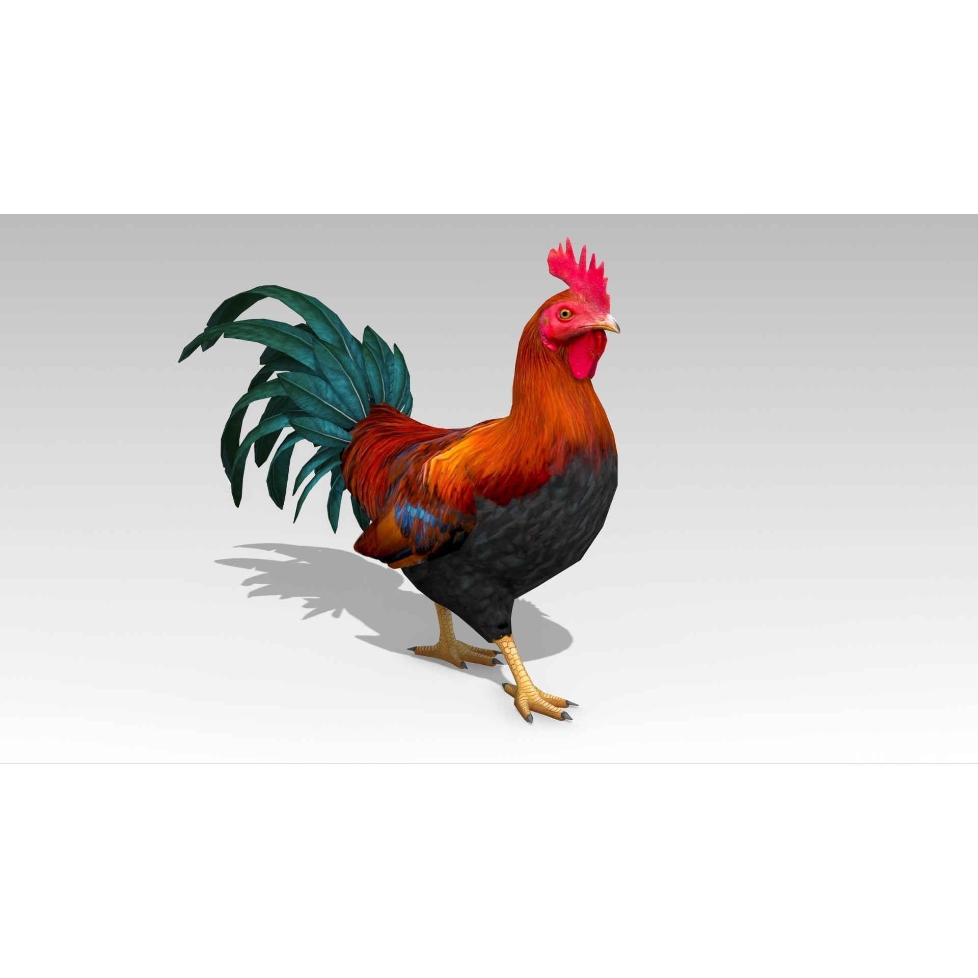 Rooster - Low-Poly Game-Ready 3D Model - View 3