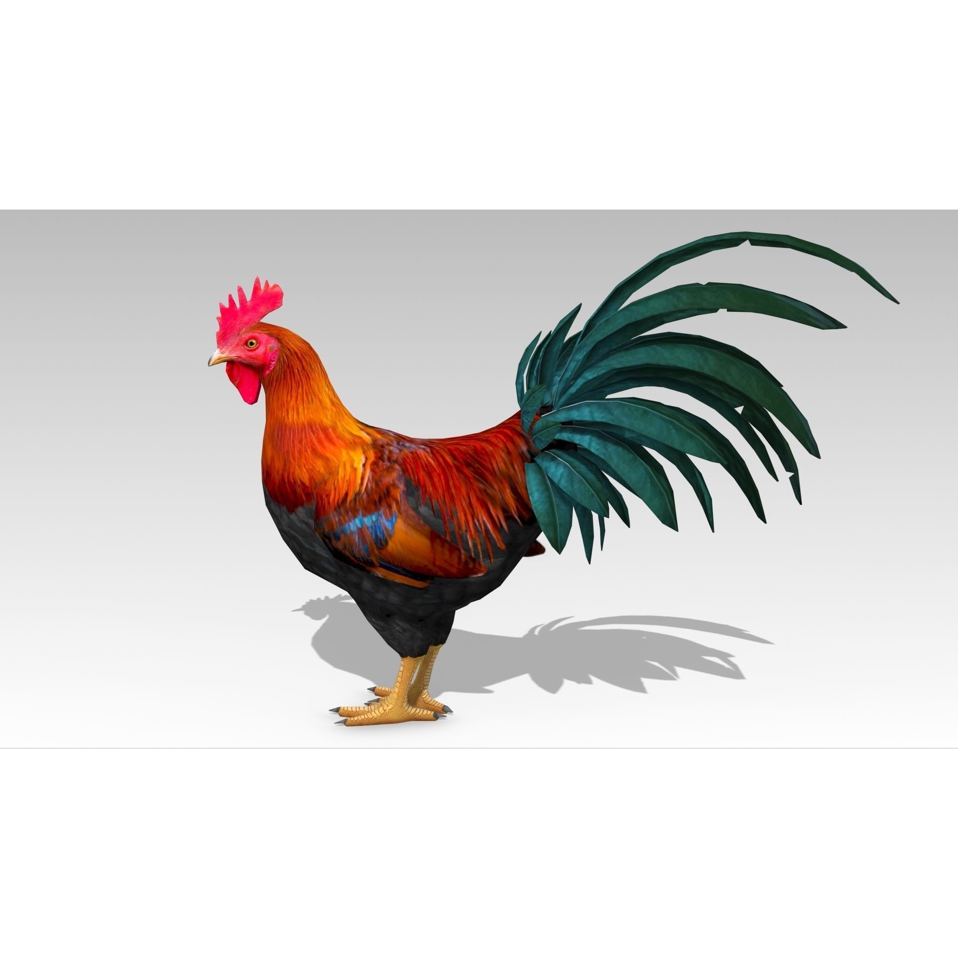 Rooster - Low-Poly Game-Ready 3D Model - View 4