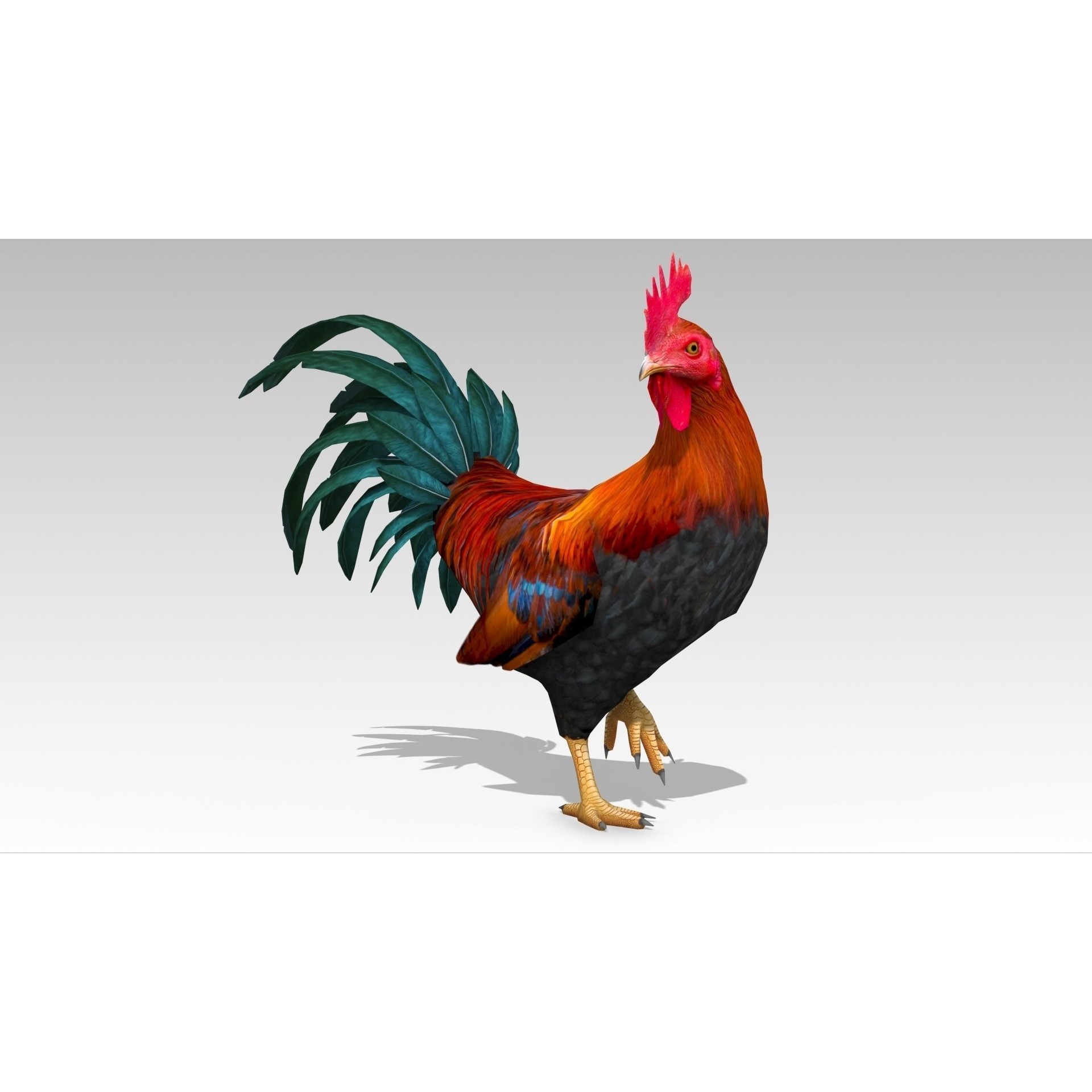 Rooster - Low-Poly Game-Ready 3D Model - View 5