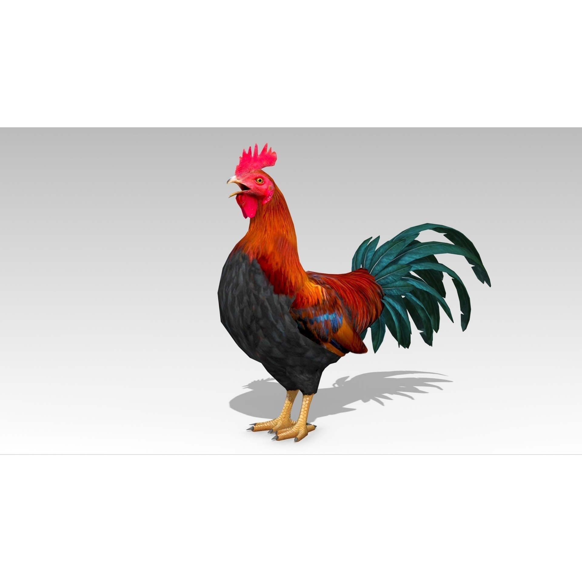 Rooster - Low-Poly Game-Ready 3D Model - View 6