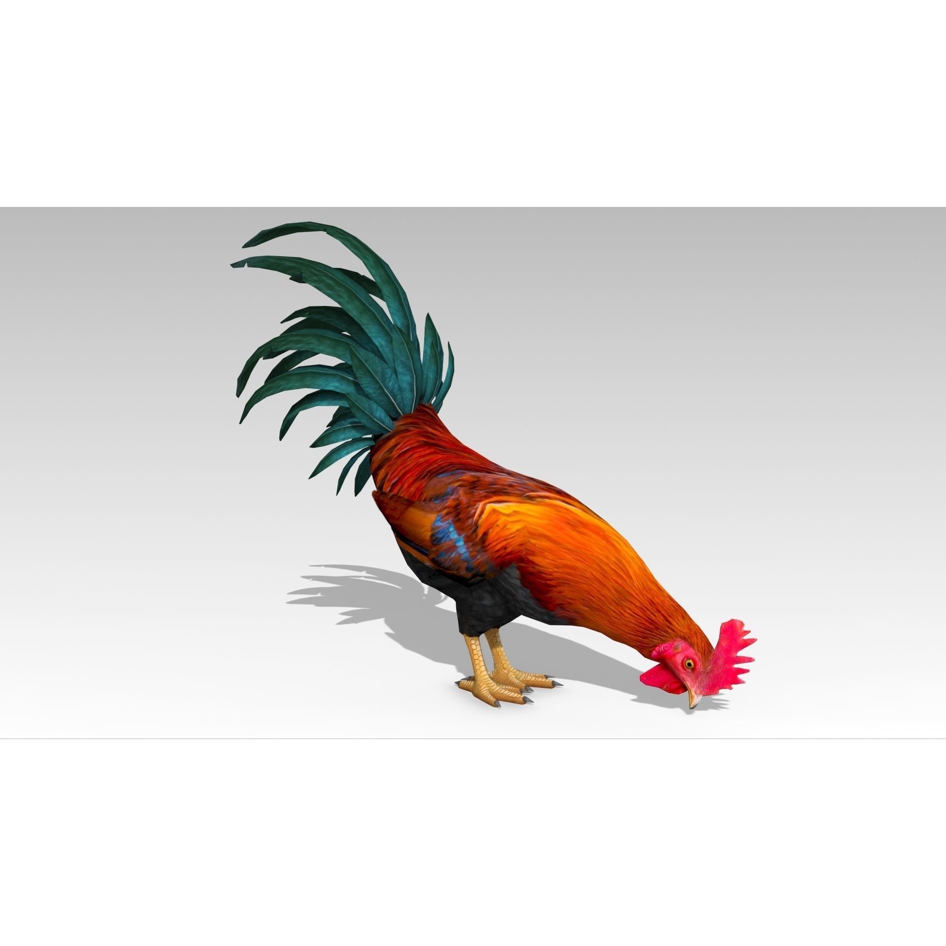 Rooster - Low-Poly Game-Ready 3D Model - View 7