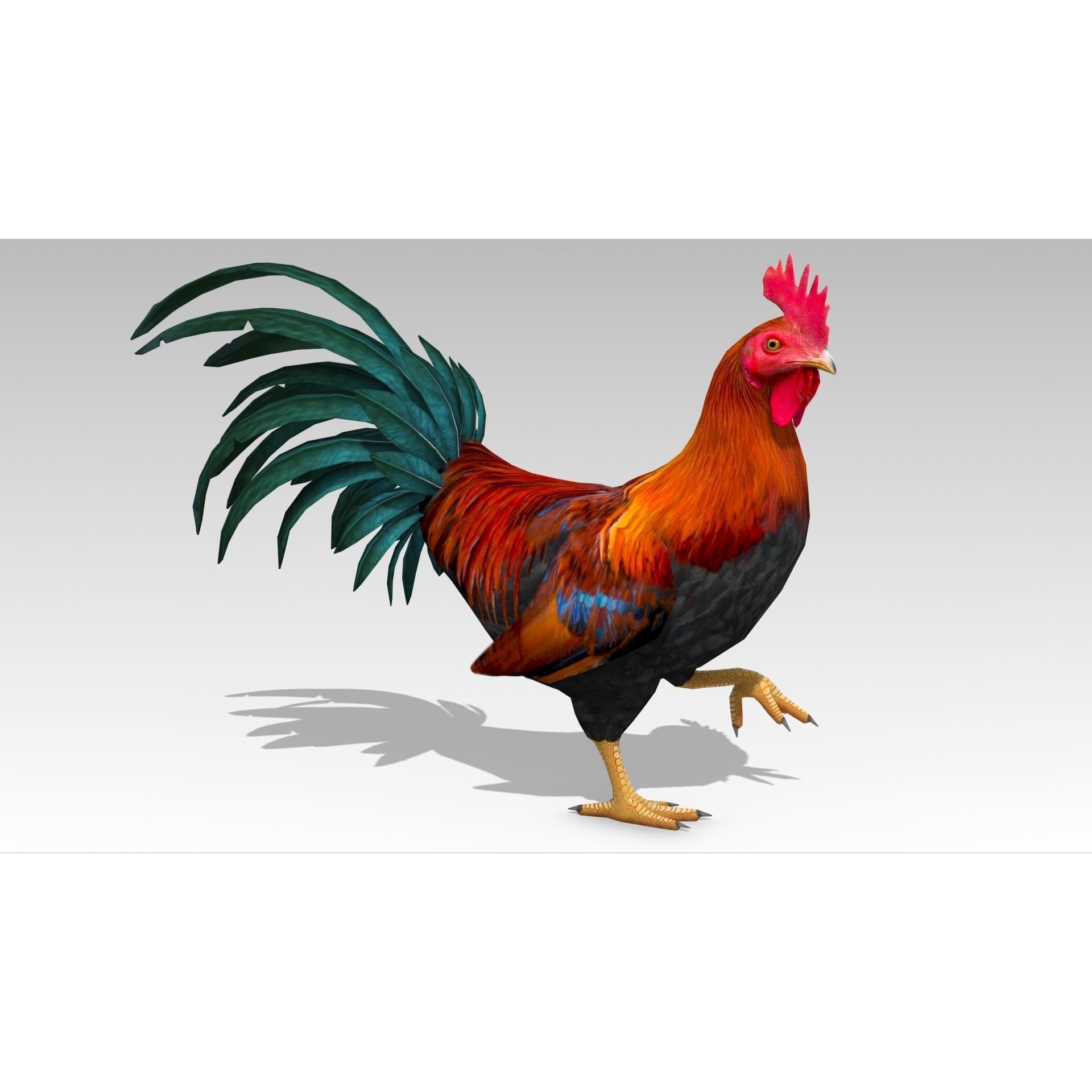 Rooster - Low-Poly Game-Ready 3D Model - View 8