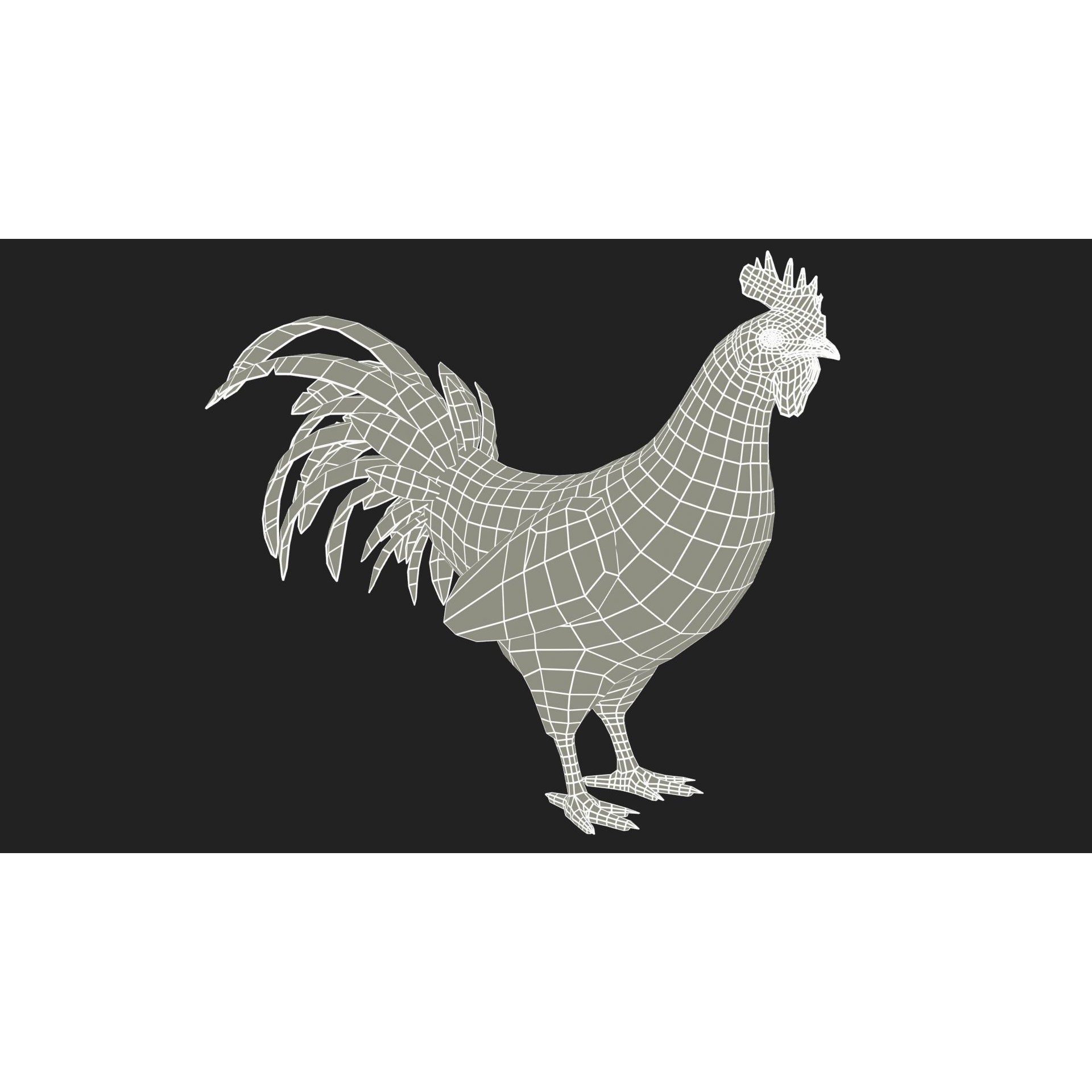Rooster - Low-Poly Game-Ready 3D Model - View 9