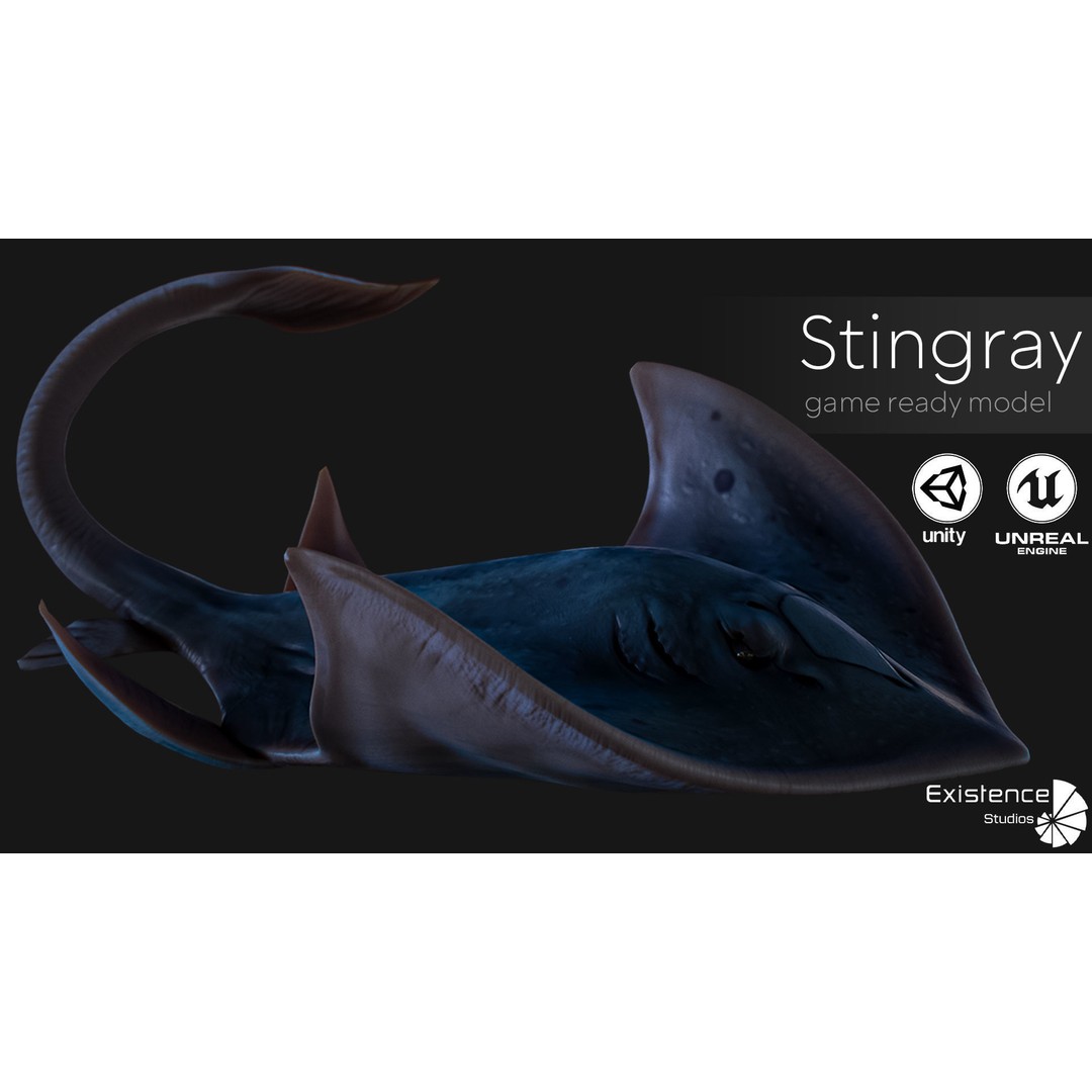Stingray 3D Model – Low Poly Rigged Fish with Animations, FBX - View 3