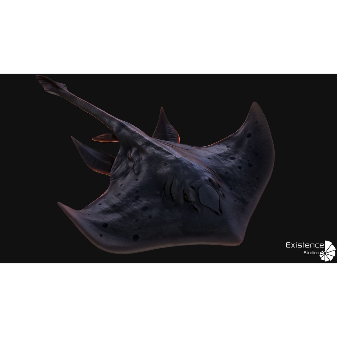 Stingray 3D Model – Low Poly Rigged Fish with Animations, FBX - View 7