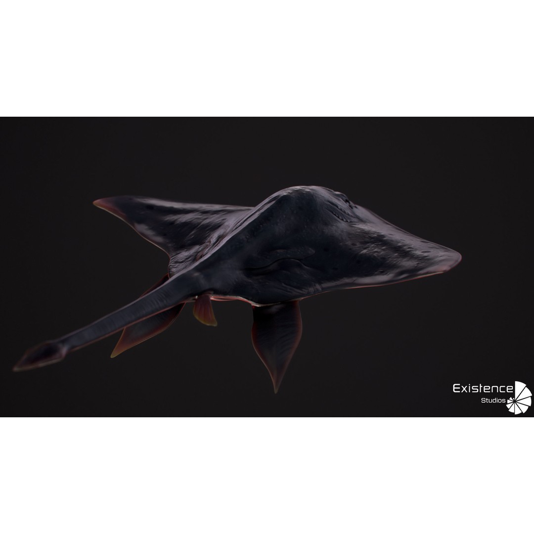 Stingray 3D Model – Low Poly Rigged Fish with Animations, FBX - View 8