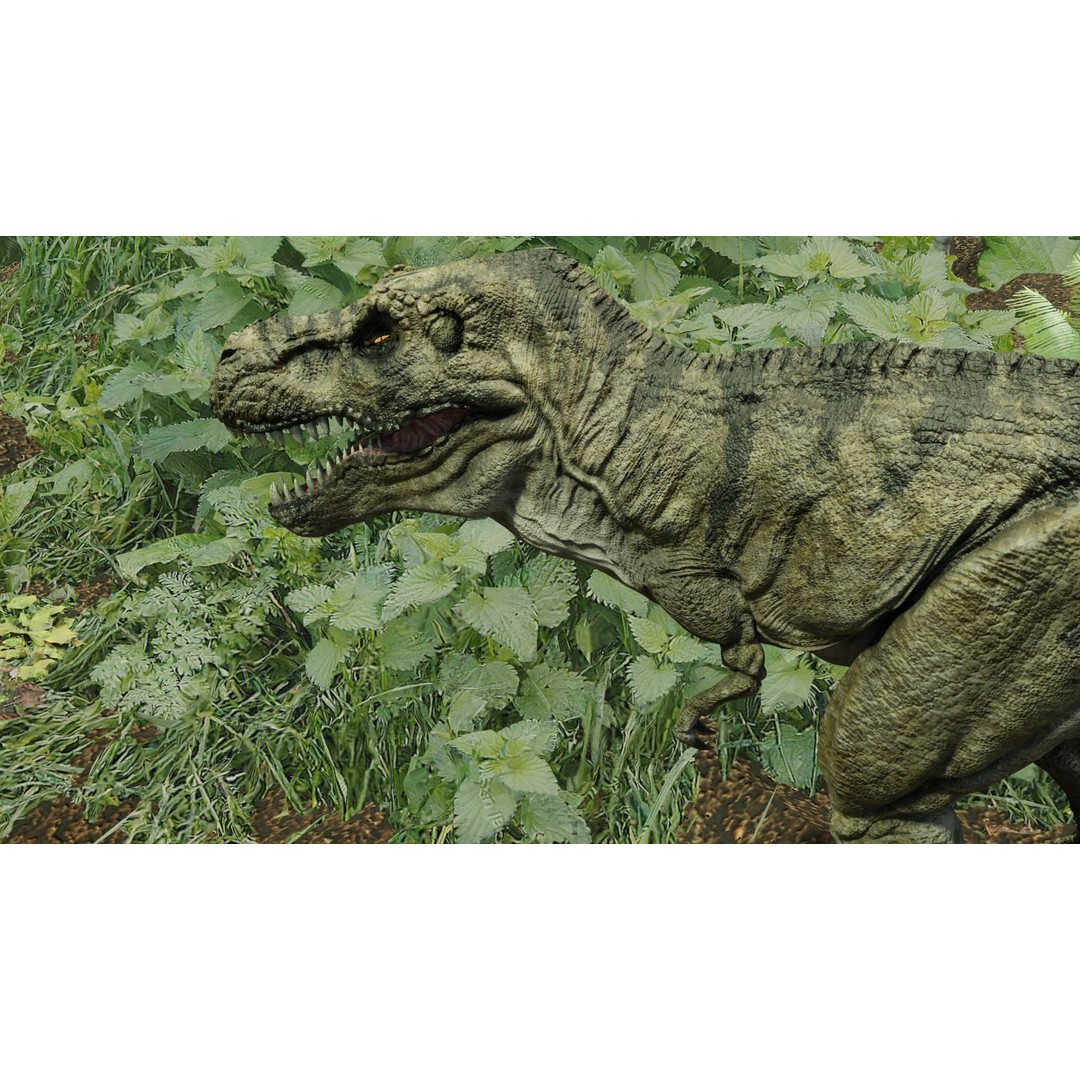 Tyrannosaurus Rex 3D Model – Low Poly Animated Rigged Asset, FBX - View 3