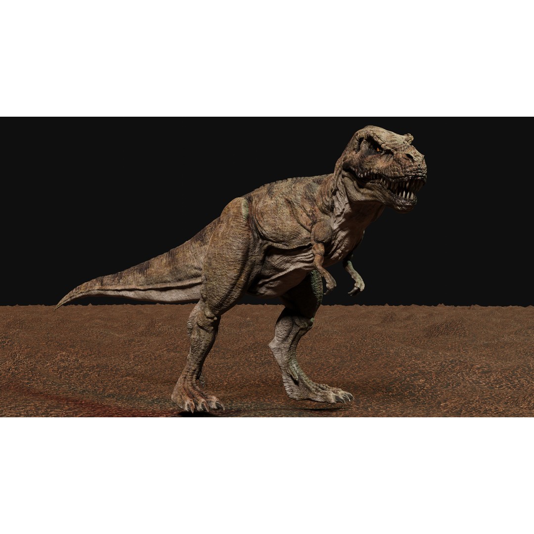 Tyrannosaurus Rex 3D Model – Low Poly Animated Rigged Asset, FBX - View 9