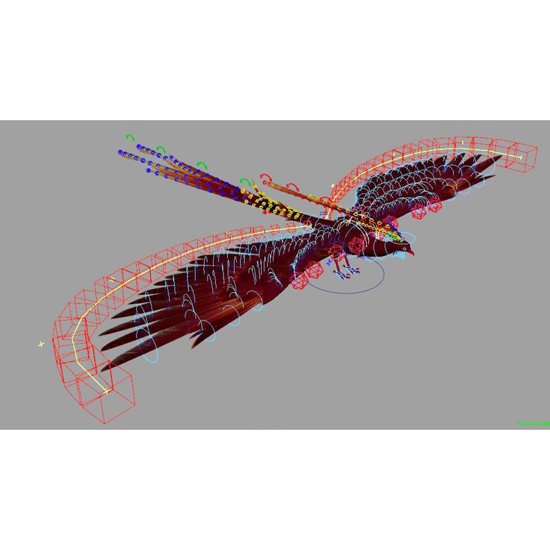 Phoenix 3D Model – Rigged Bird Asset with Textures, FBX - View 3