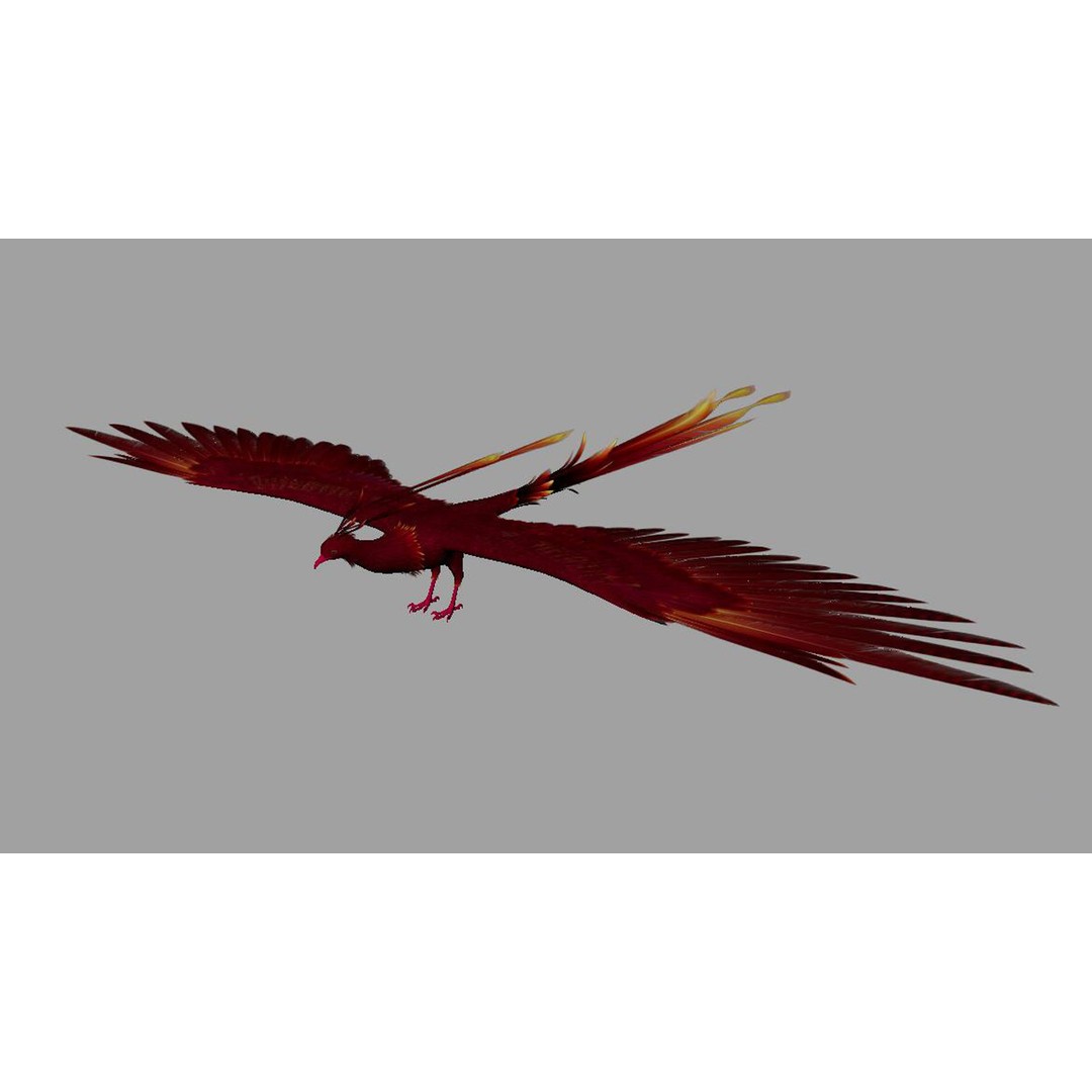 Phoenix 3D Model – Rigged Bird Asset with Textures, FBX - View 4