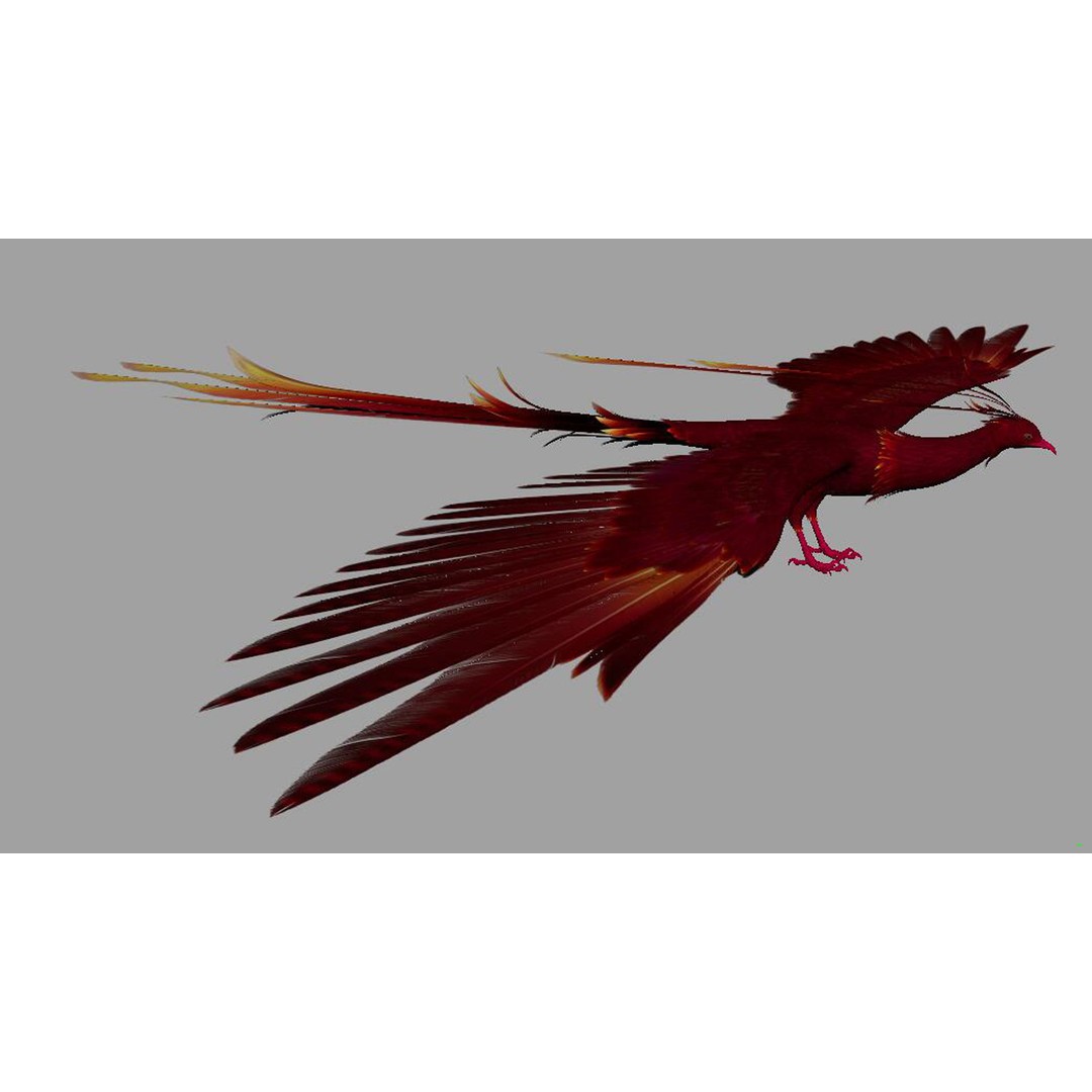 Phoenix 3D Model – Rigged Bird Asset with Textures, FBX - View 5