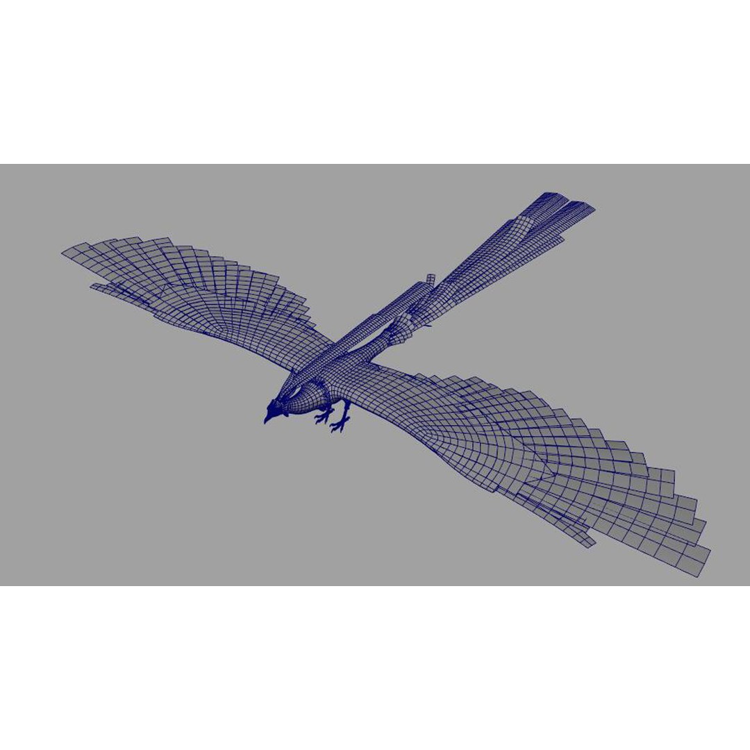 Phoenix 3D Model – Rigged Bird Asset with Textures, FBX - View 8