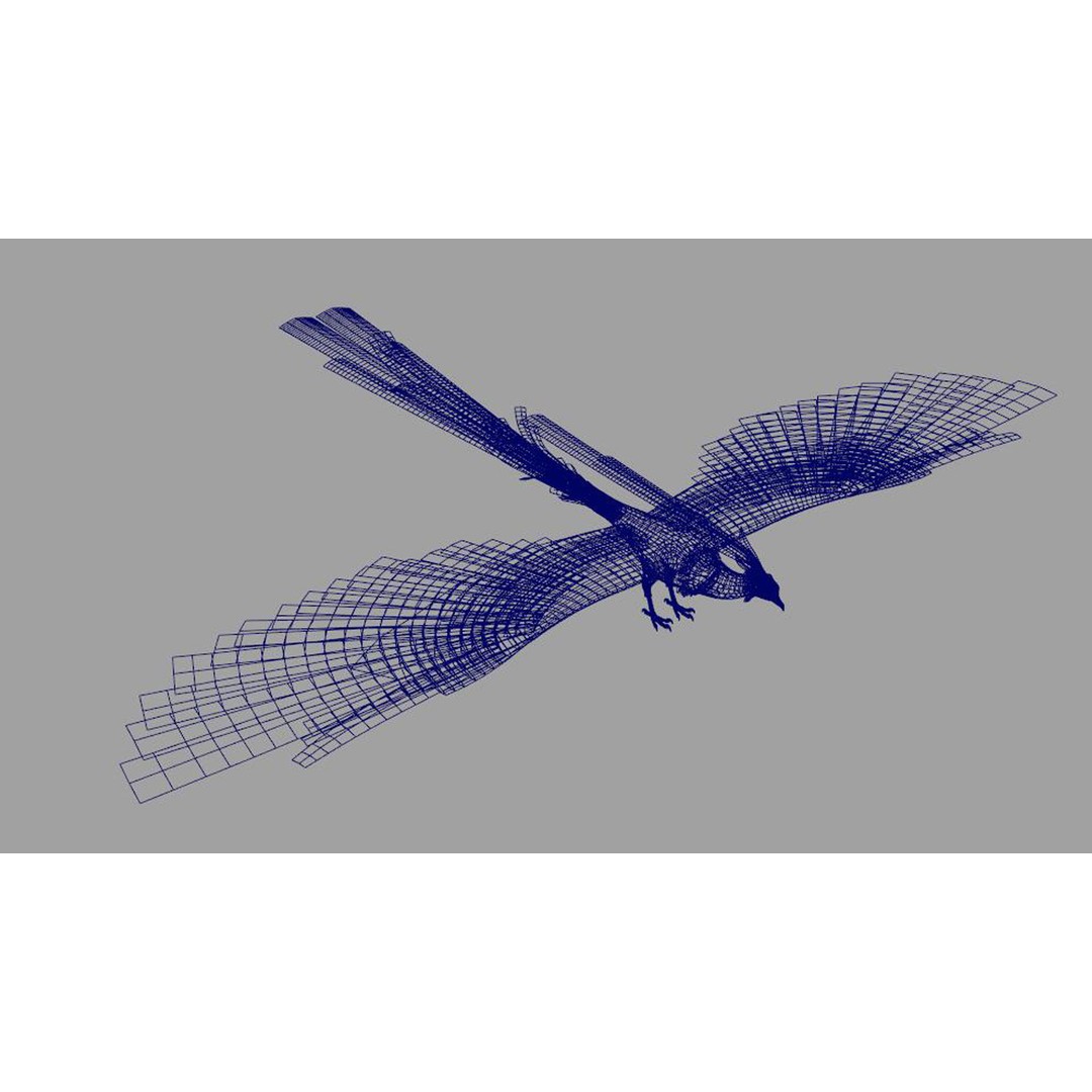 Phoenix 3D Model – Rigged Bird Asset with Textures, FBX - View 9