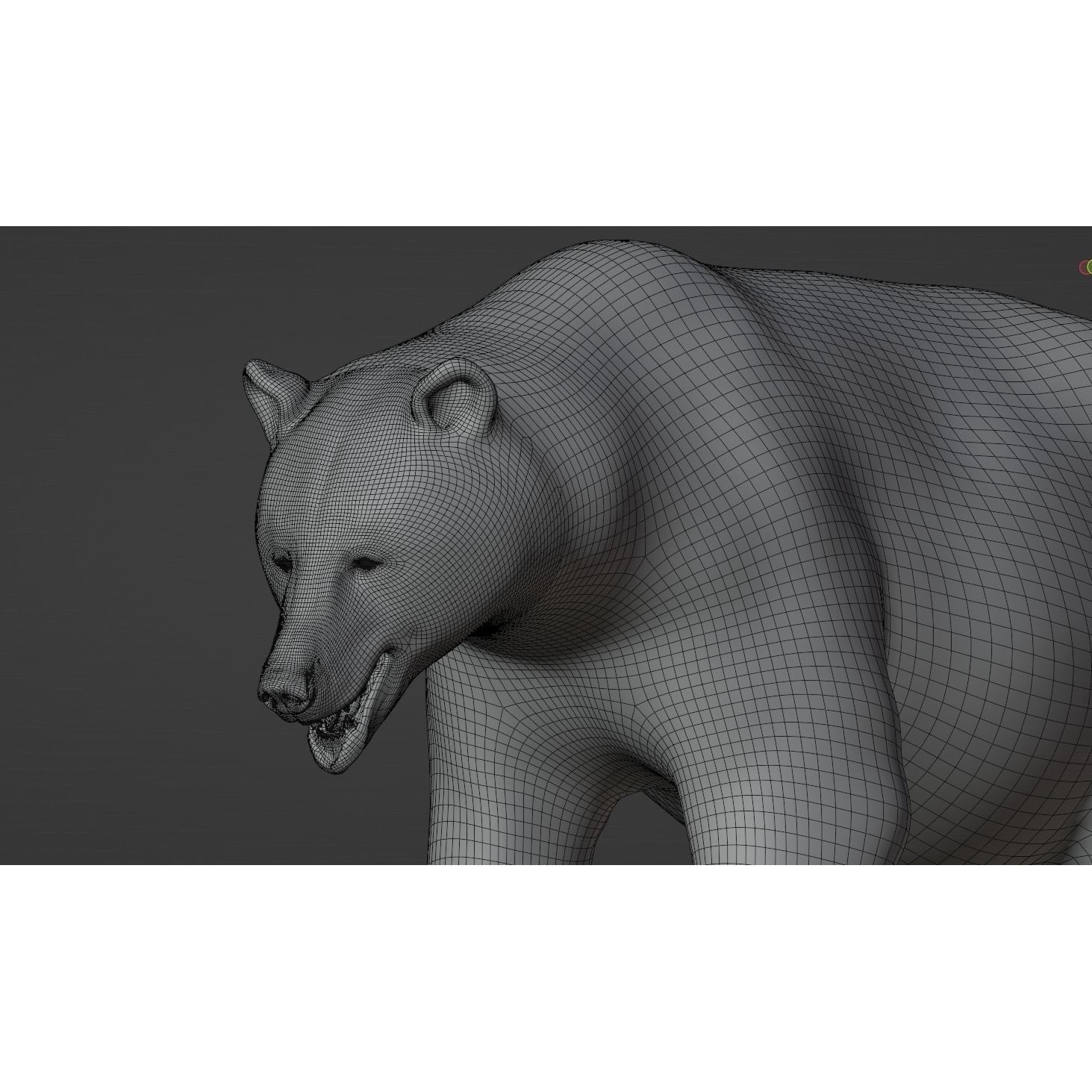 Marsican Bear - Rigged Animated 3D Model - View 11
