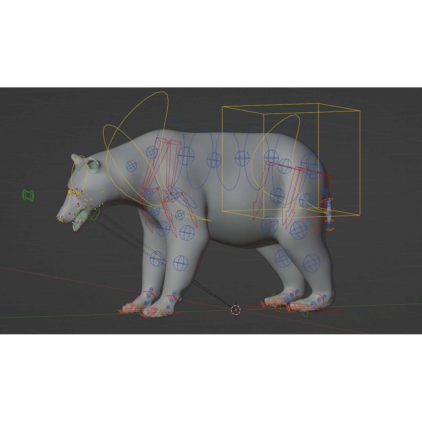 Marsican Bear - Rigged Animated 3D Model - View 8