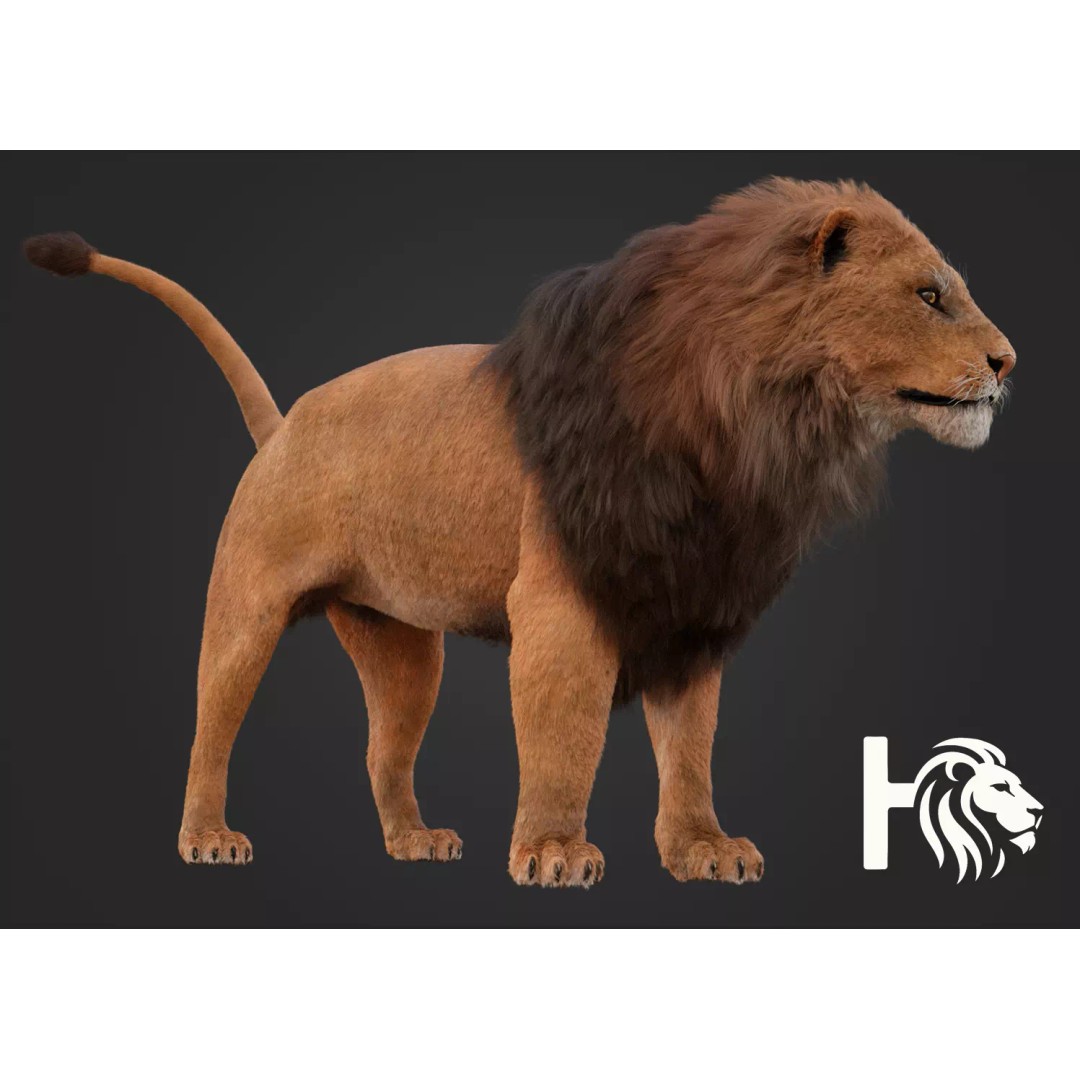 Male Lion 3D Model – Hyper-Realistic Rigged Asset with PBR Textures - View 2
