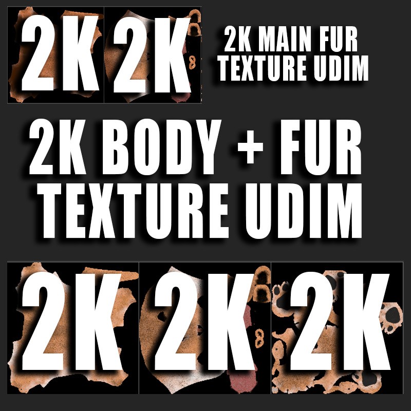 Male Lion 3D Model – Hyper-Realistic Rigged Asset with PBR Textures - View 21