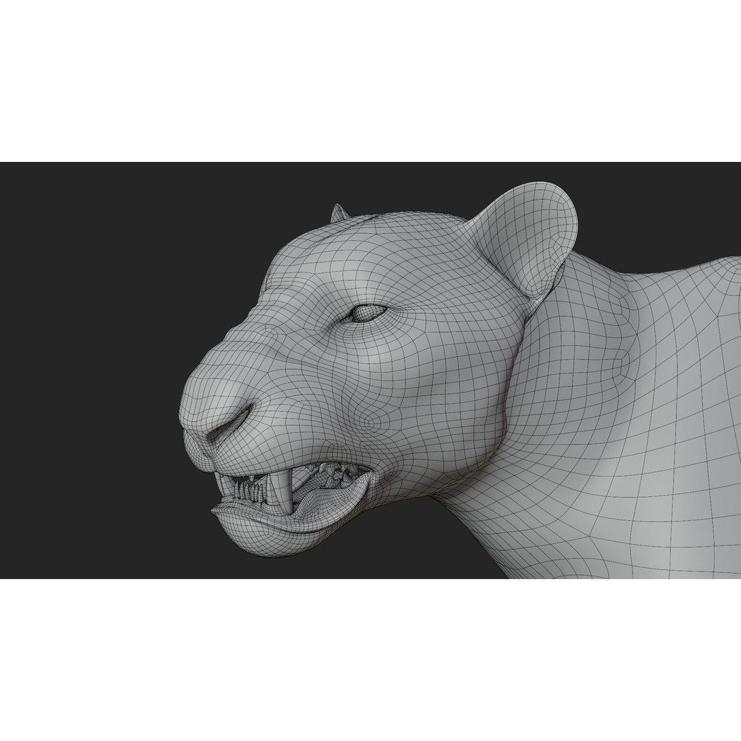 Male Lion 3D Model – Hyper-Realistic Rigged Asset with PBR Textures - View 23