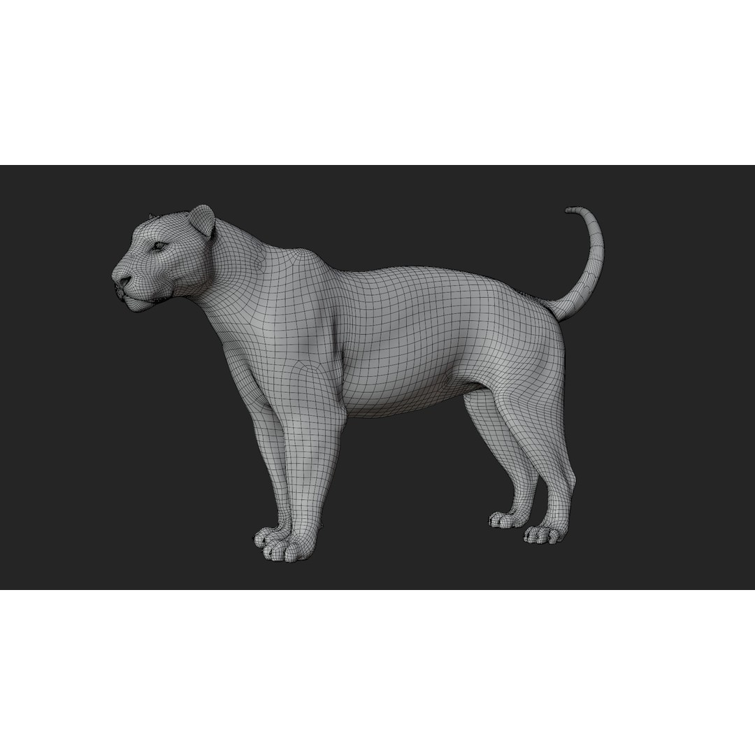 Male Lion 3D Model – Hyper-Realistic Rigged Asset with PBR Textures - View 25