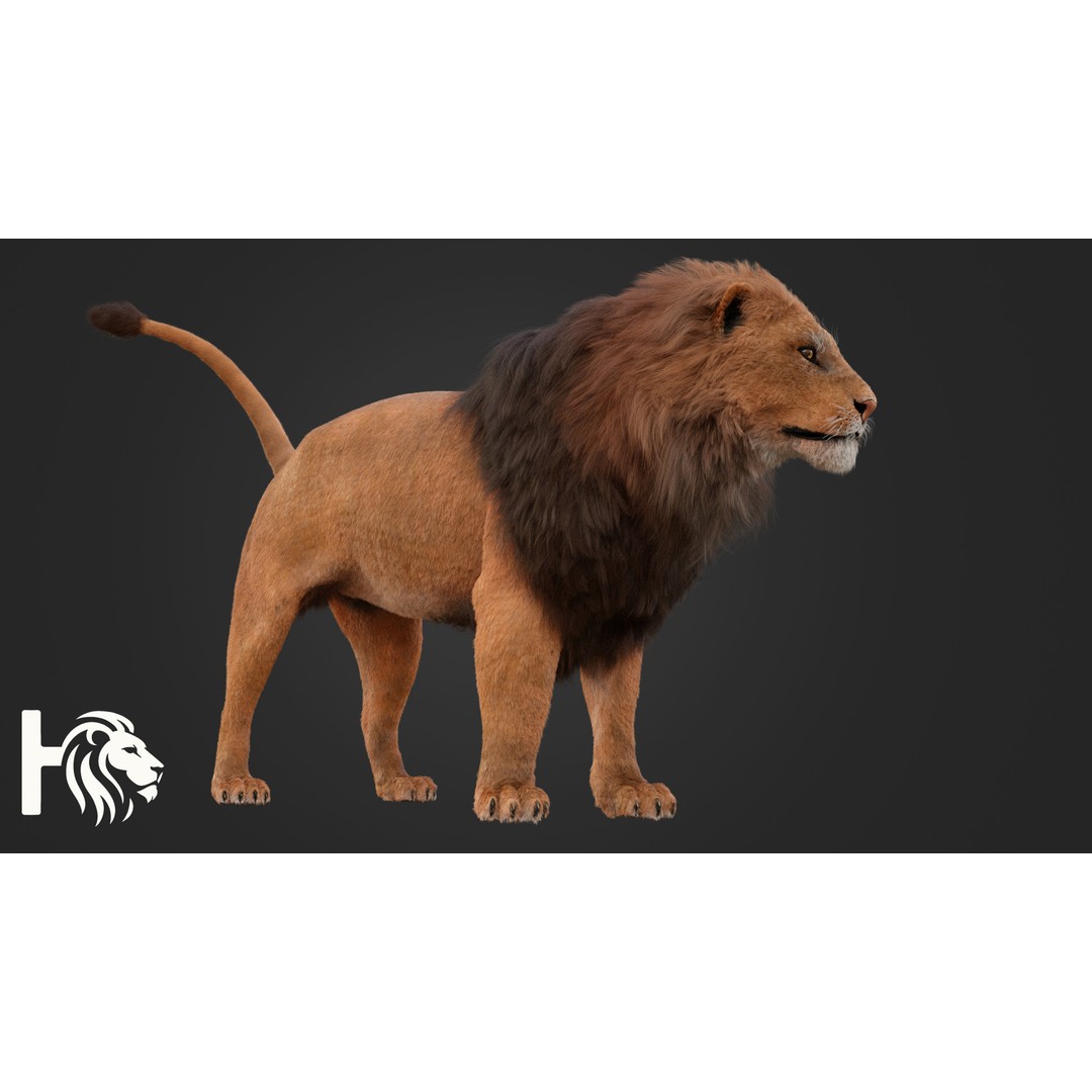 Male Lion 3D Model – Hyper-Realistic Rigged Asset with PBR Textures - View 3