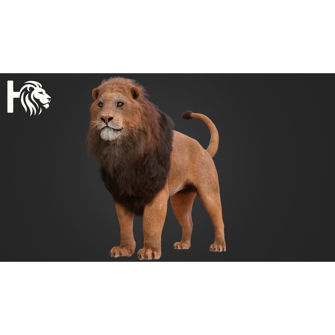 Male Lion 3D Model – Hyper-Realistic Rigged Asset with PBR Textures - View 4