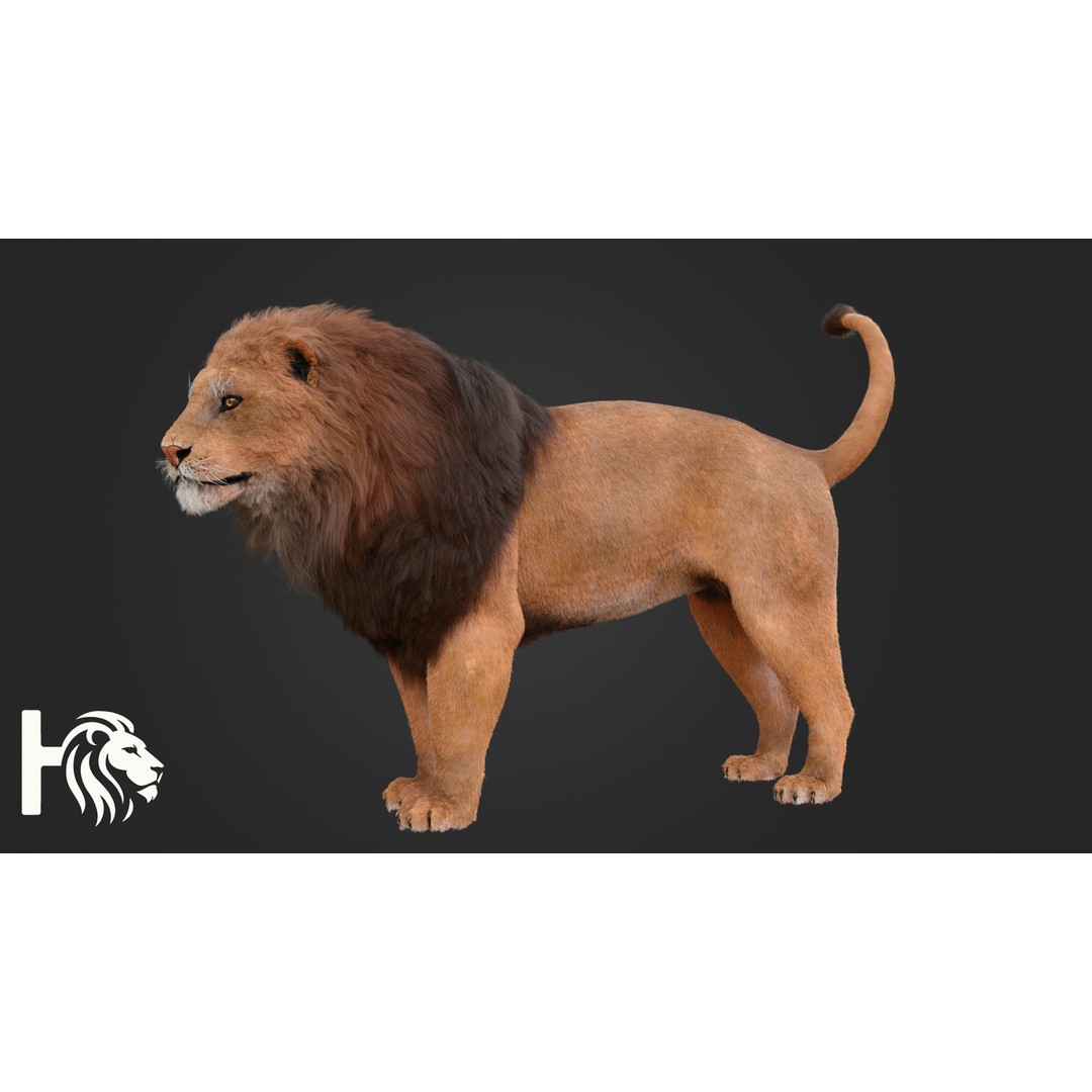 Male Lion 3D Model – Hyper-Realistic Rigged Asset with PBR Textures - View 5