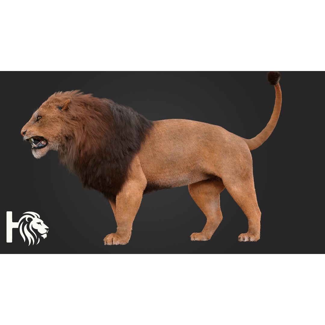 Male Lion 3D Model – Hyper-Realistic Rigged Asset with PBR Textures - View 6