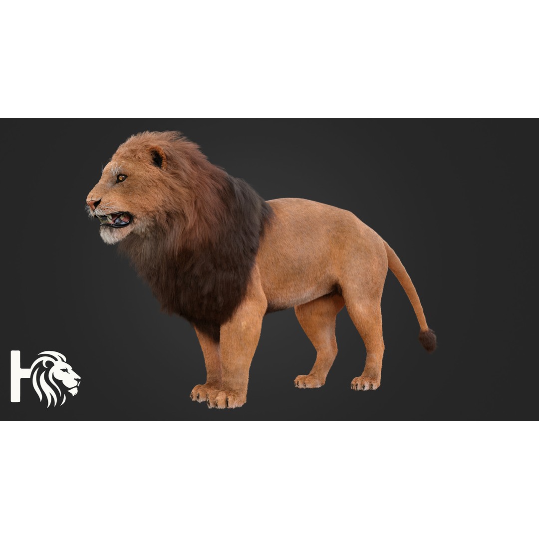 Male Lion 3D Model – Hyper-Realistic Rigged Asset with PBR Textures - View 7
