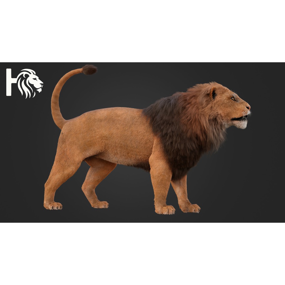 Male Lion 3D Model – Hyper-Realistic Rigged Asset with PBR Textures - View 8