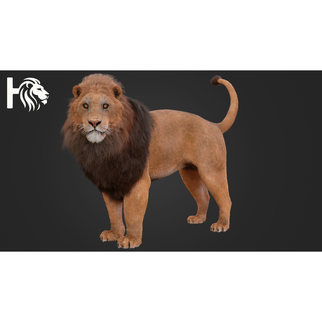 Male Lion 3D Model – Hyper-Realistic Rigged Asset with PBR Textures - View 9