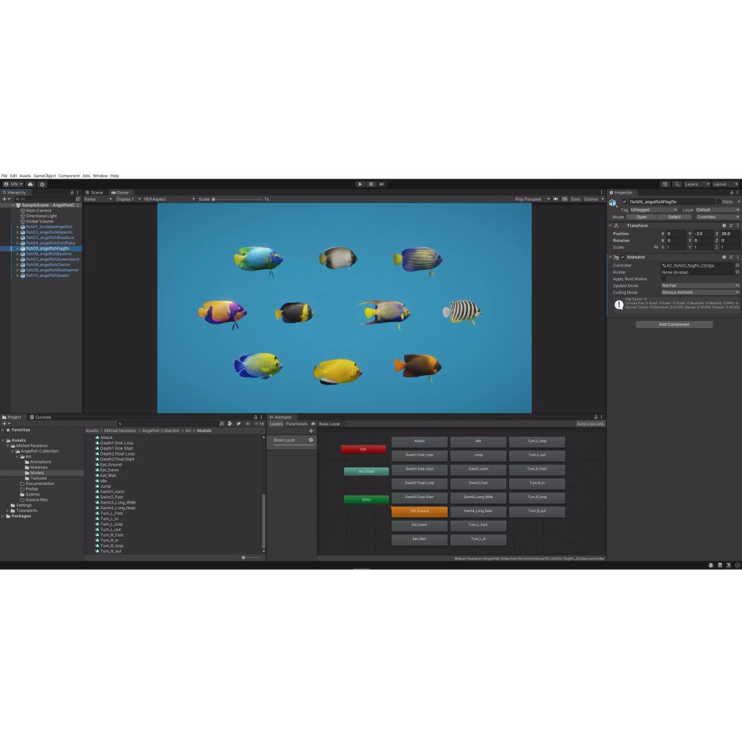 Angelfish 3D Model – Animated Low Poly Game Asset, FBX, Blender - View 14