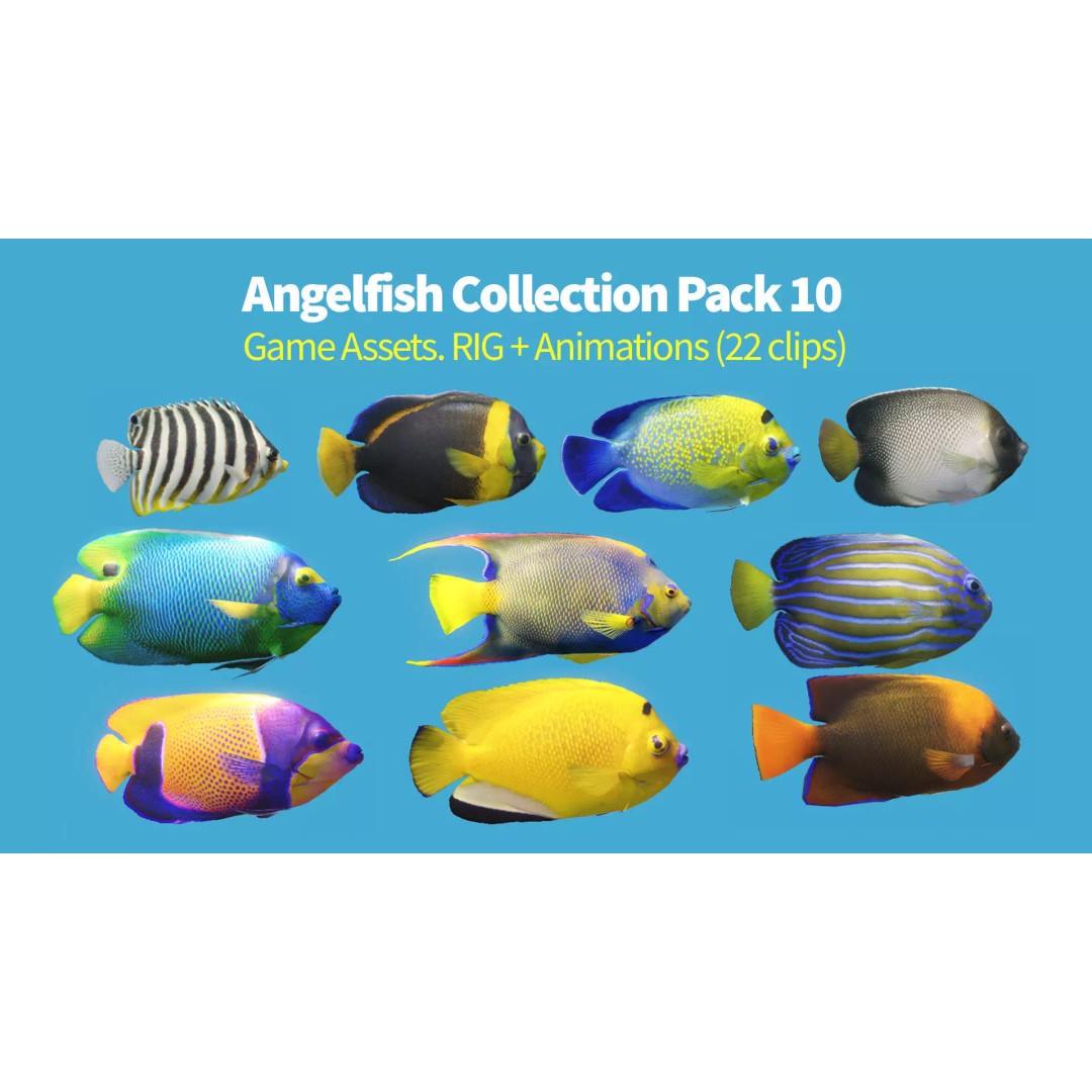 Angelfish 3D Model – Animated Low Poly Game Asset, FBX, Blender - View 2