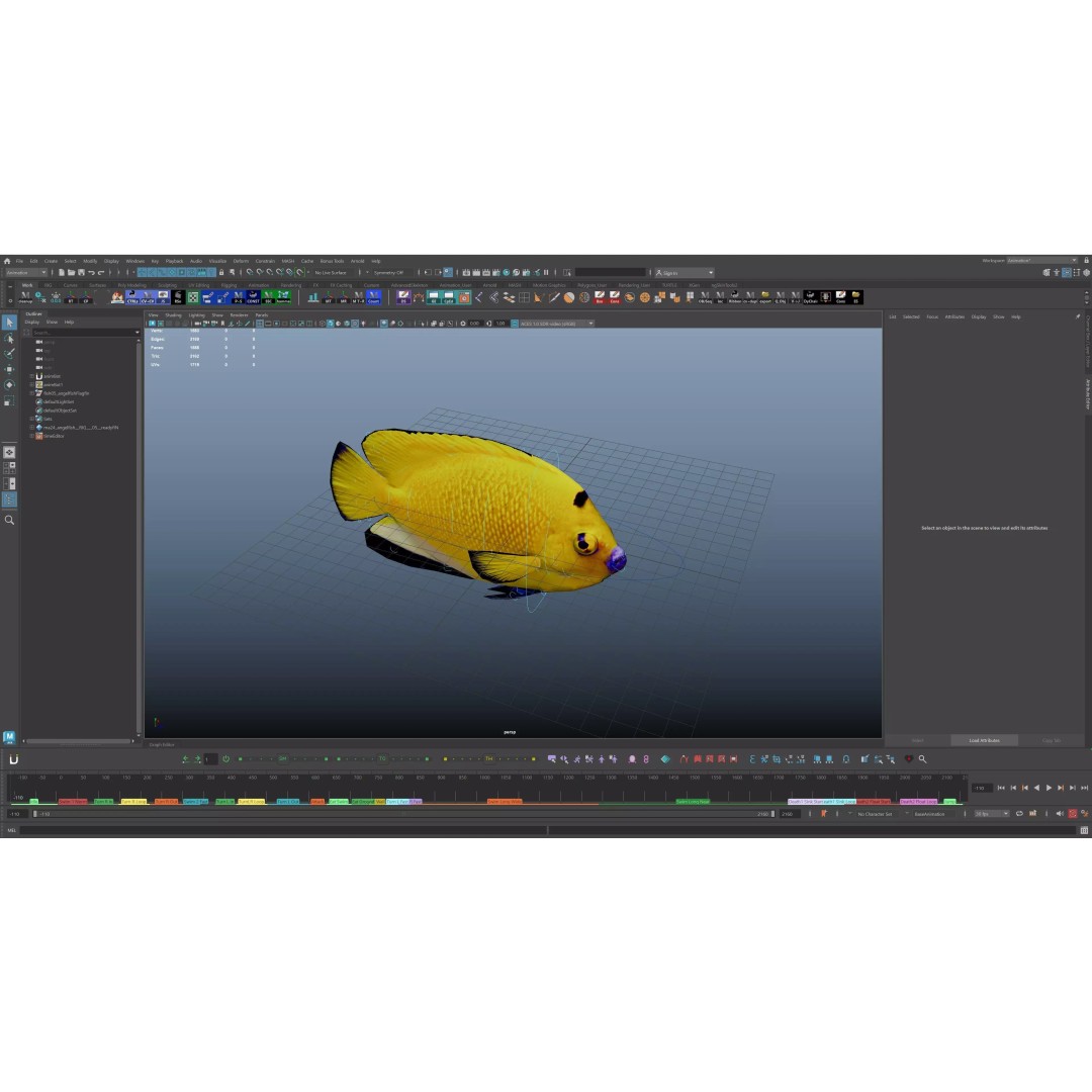 Angelfish 3D Model – Animated Low Poly Game Asset, FBX, Blender - View 27