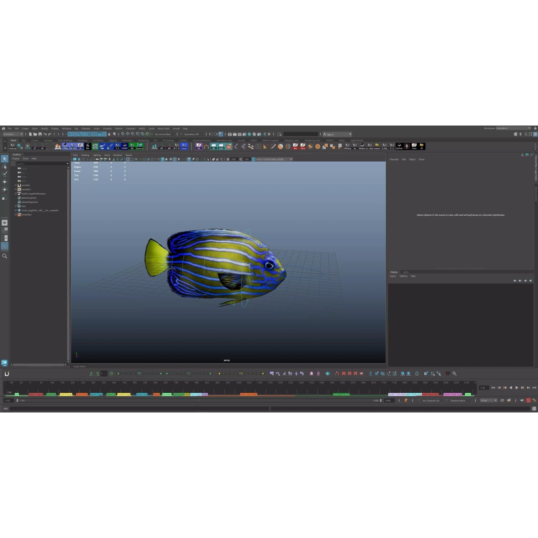 Angelfish 3D Model – Animated Low Poly Game Asset, FBX, Blender - View 28