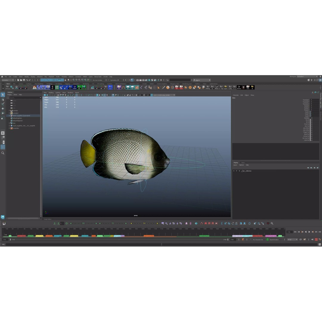 Angelfish 3D Model – Animated Low Poly Game Asset, FBX, Blender - View 29