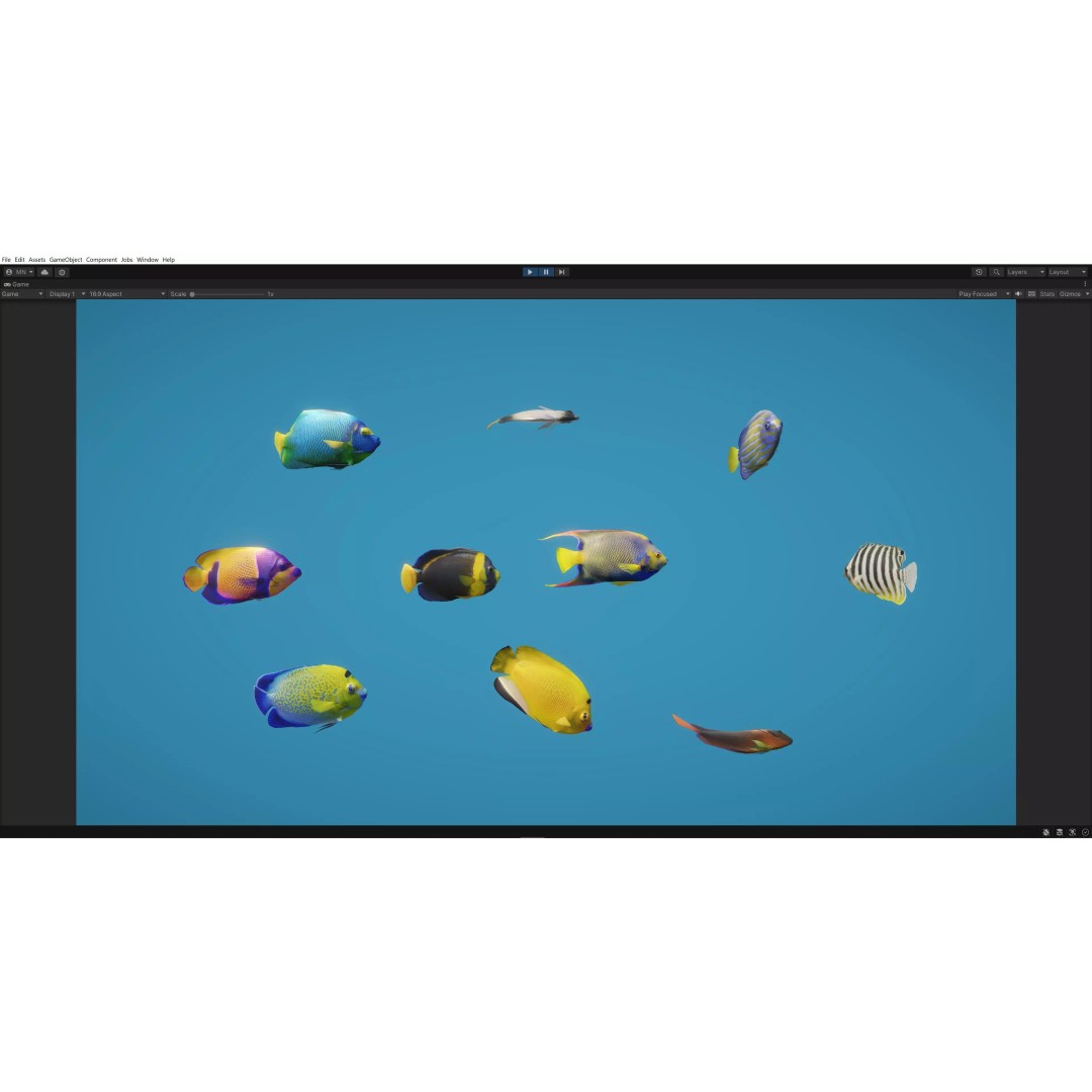 Angelfish 3D Model – Animated Low Poly Game Asset, FBX, Blender - View 3