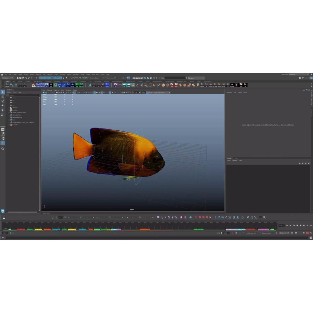 Angelfish 3D Model – Animated Low Poly Game Asset, FBX, Blender - View 30