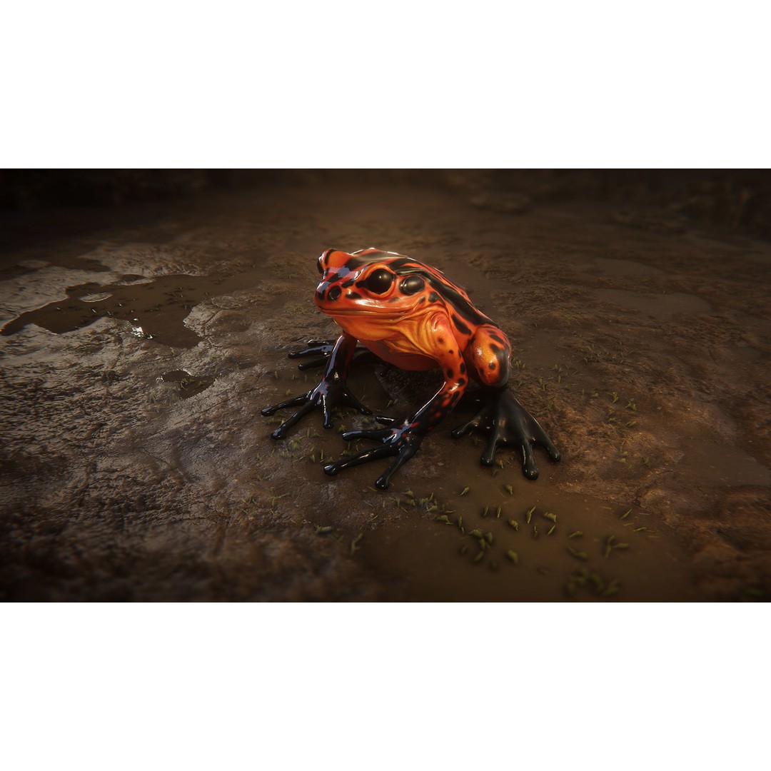 Animated Frog 3D Model – Low Poly Game Asset, FBX, PBR Textures - View 12