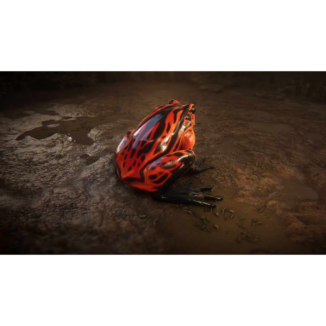Animated Frog 3D Model – Low Poly Game Asset, FBX, PBR Textures - View 13