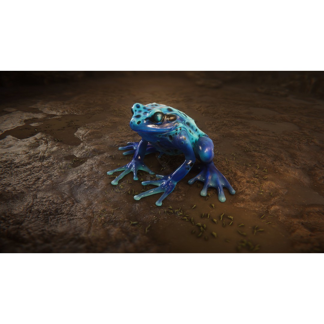 Animated Frog 3D Model – Low Poly Game Asset, FBX, PBR Textures - View 14