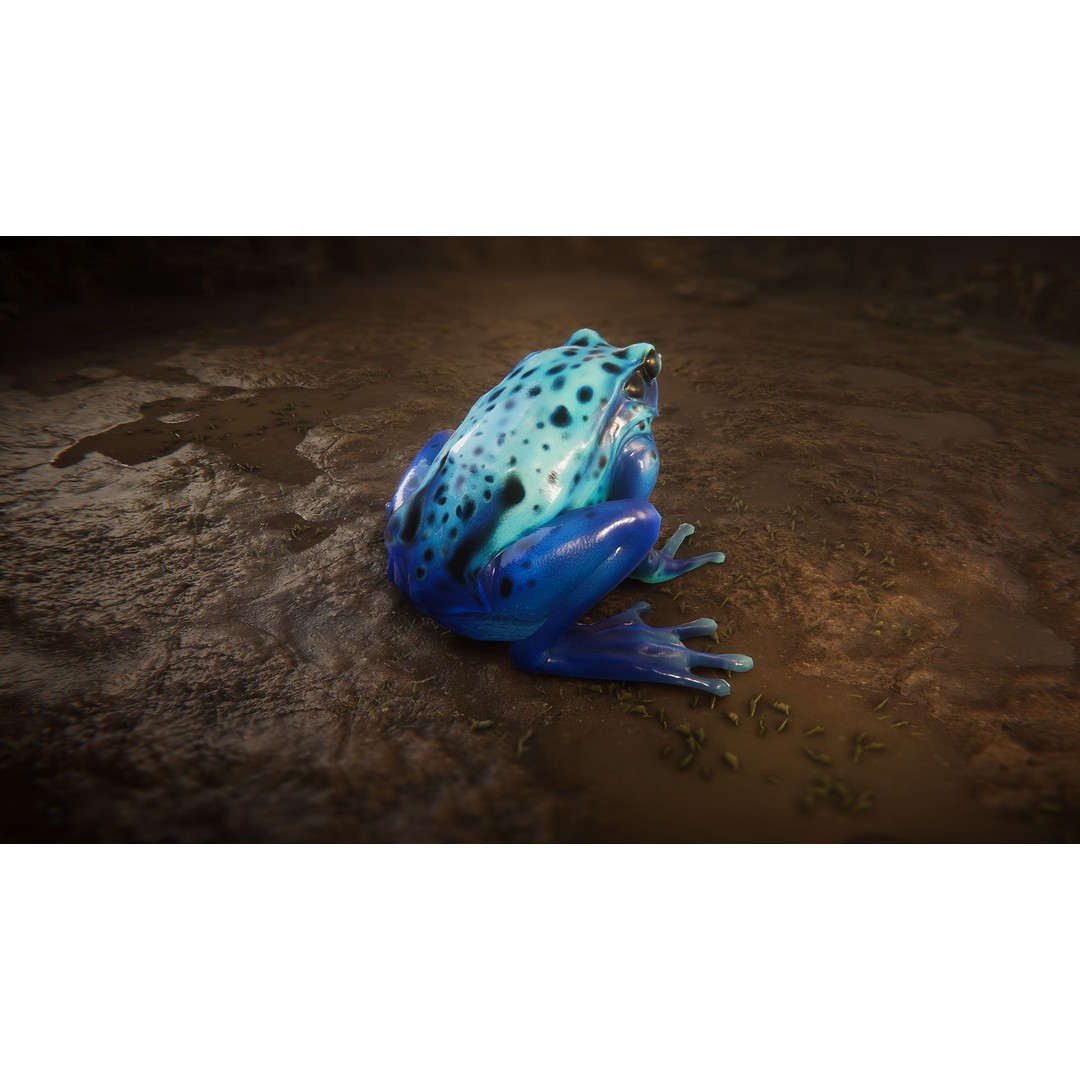 Animated Frog 3D Model – Low Poly Game Asset, FBX, PBR Textures - View 15