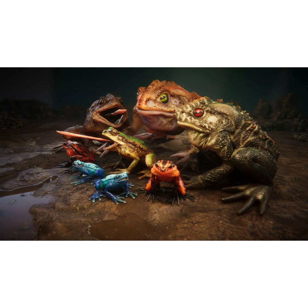 Animated Frog 3D Model – Low Poly Game Asset, FBX, PBR Textures - View 2