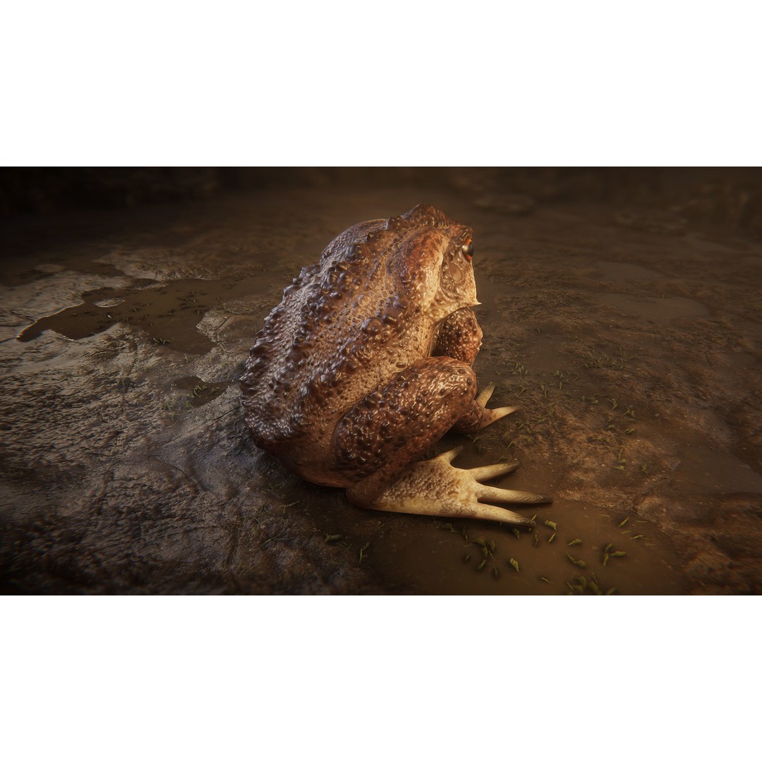 Animated Frog 3D Model – Low Poly Game Asset, FBX, PBR Textures - View 5