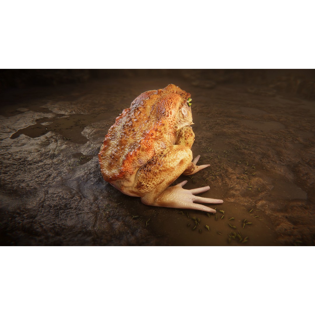 Animated Frog 3D Model – Low Poly Game Asset, FBX, PBR Textures - View 7