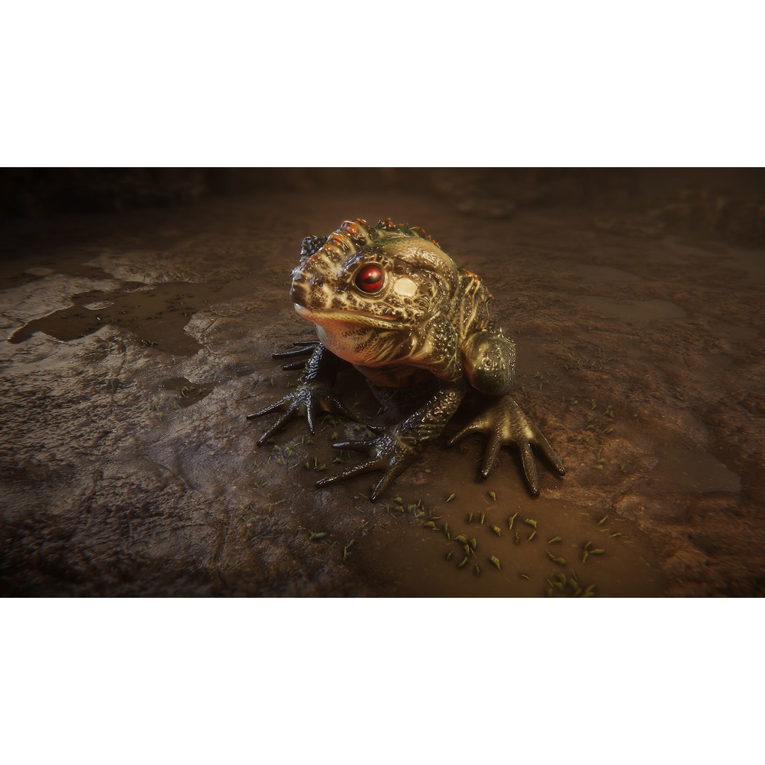 Animated Frog 3D Model – Low Poly Game Asset, FBX, PBR Textures - View 8