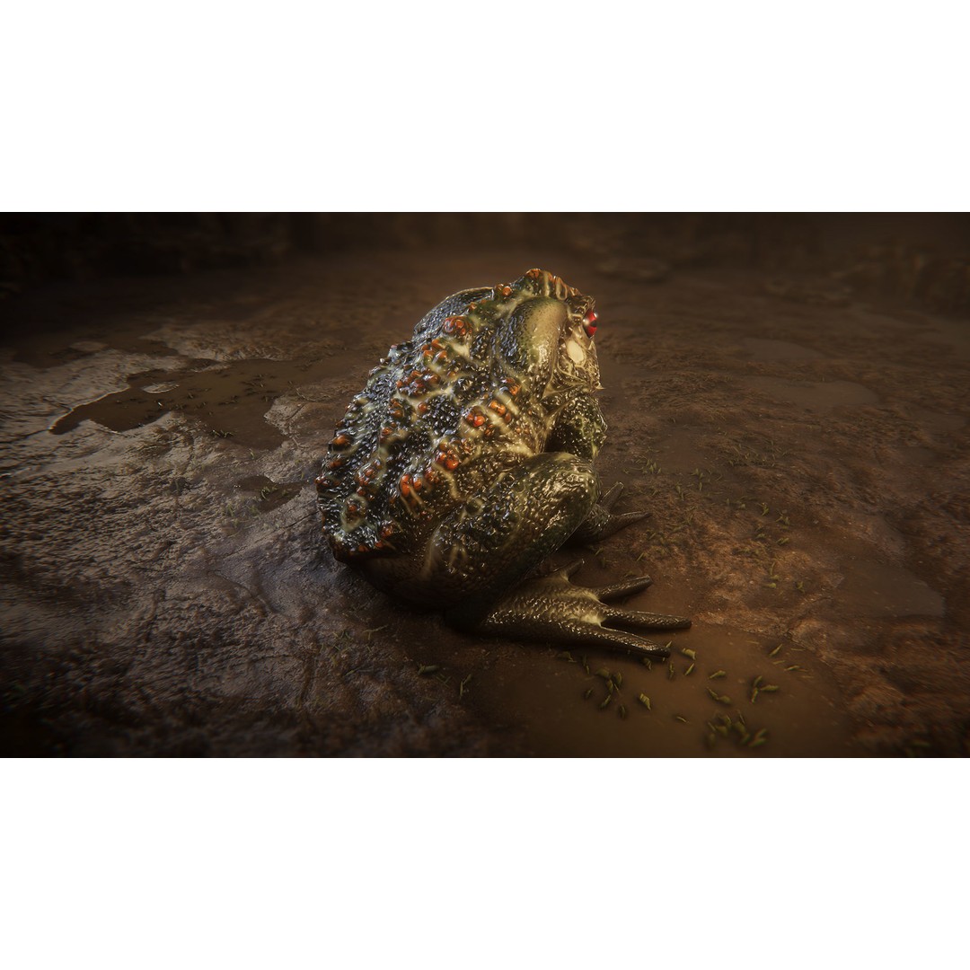 Animated Frog 3D Model – Low Poly Game Asset, FBX, PBR Textures - View 9