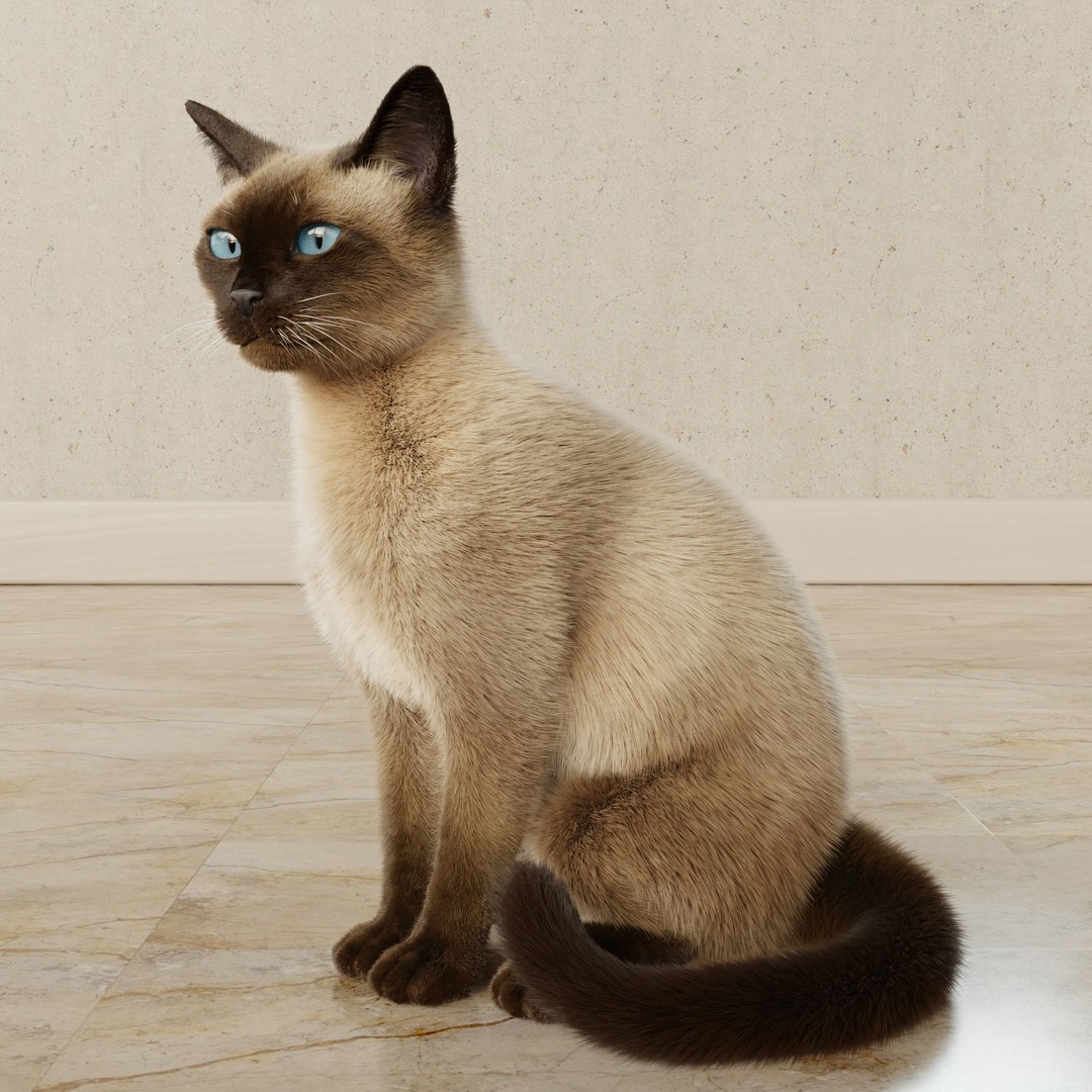 Siamese Cat 3D Model – Rigged Animated Character with PBR Textures - View 13